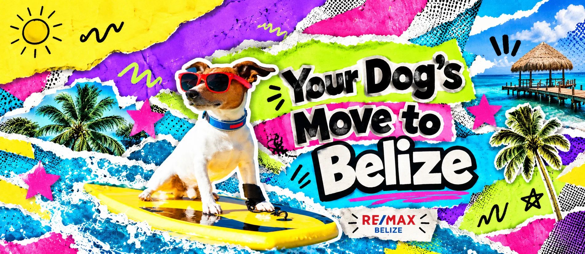Moving to Belize With a Dog? Plan the Last Leg First.
