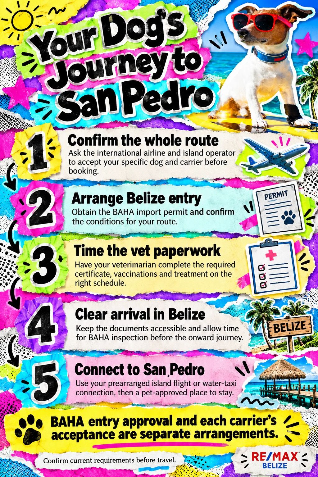 Moving to Belize With a Dog? Plan the Last Leg First.