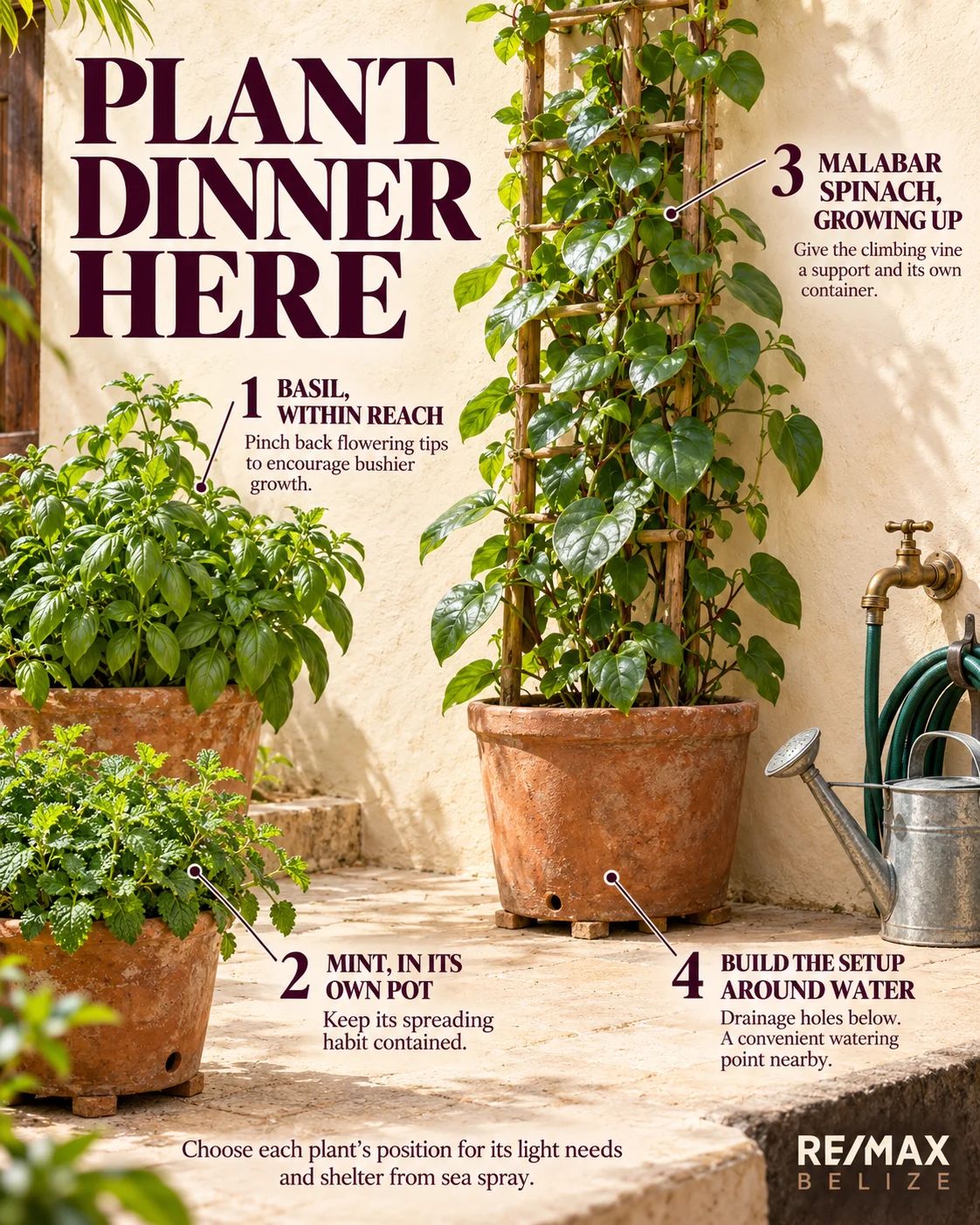 Dinner Is Growing Outside: Edible Gardening in Belize