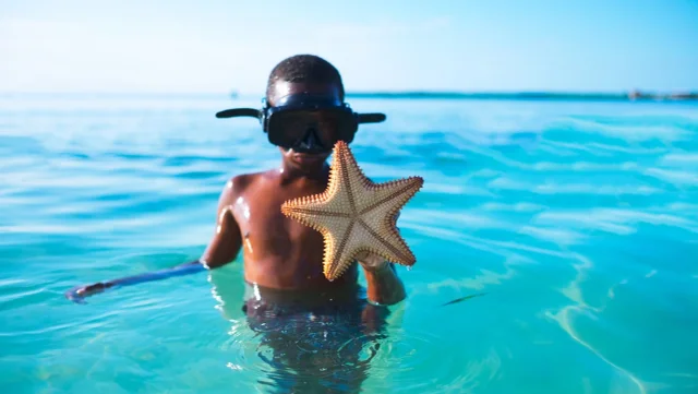 Why Moving To Belize Is NOT As Hard As you Thought