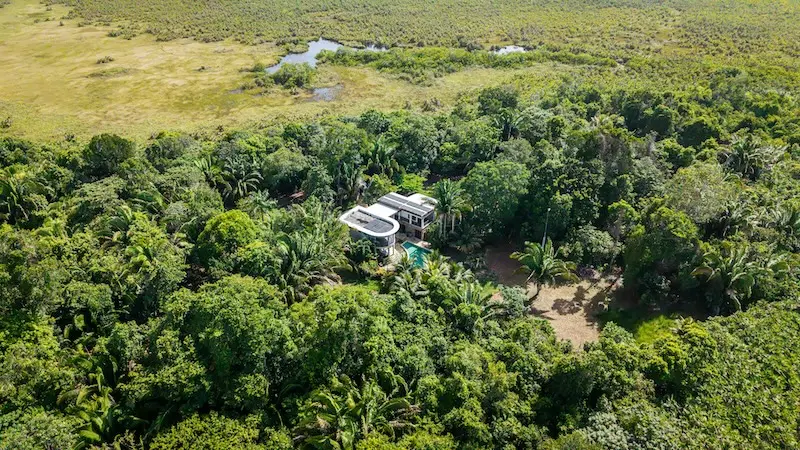 Aerial view of modern house surrounded by dense green jungle with small pool