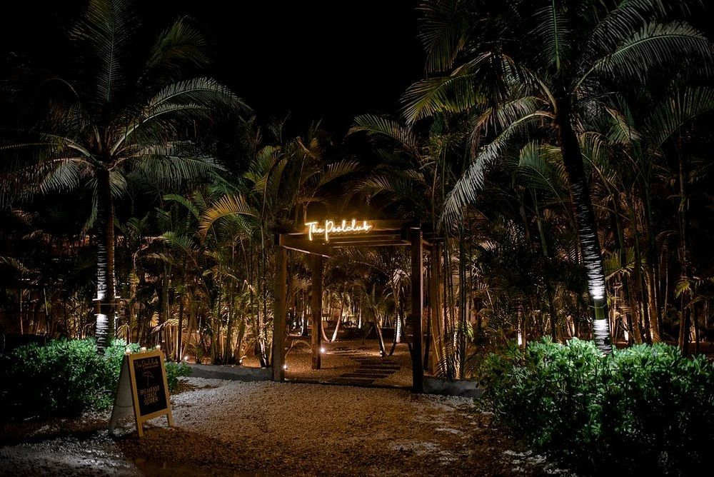 Night view of illuminated wooden archway with glowing neon sign among palm trees