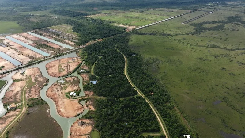 Aerial view of cleared land lots beside a winding waterway and dense trees