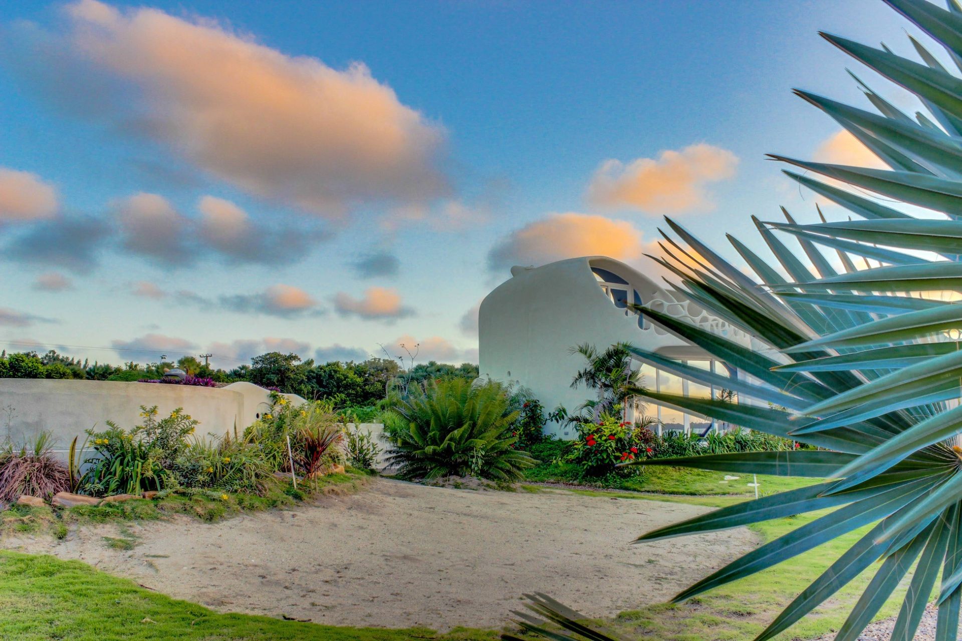 Curved white stucco building exterior with tropical plants and sandy ground at sunset