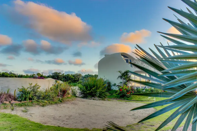 Curved white stucco building exterior with tropical plants and sandy ground at sunset