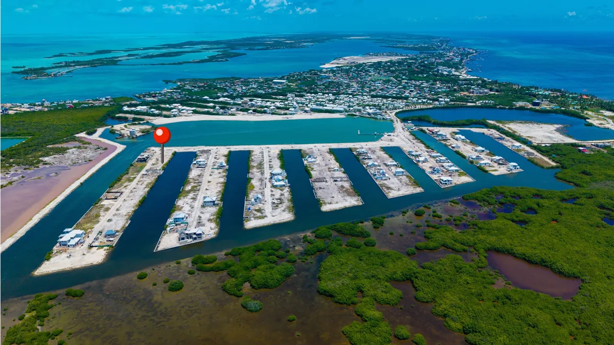 Aerial view of canal-front lots with mangroves and houses along water