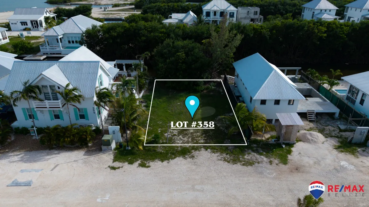 Aerial view of vacant lot outlined in white with lot number marker, grass and palm trees