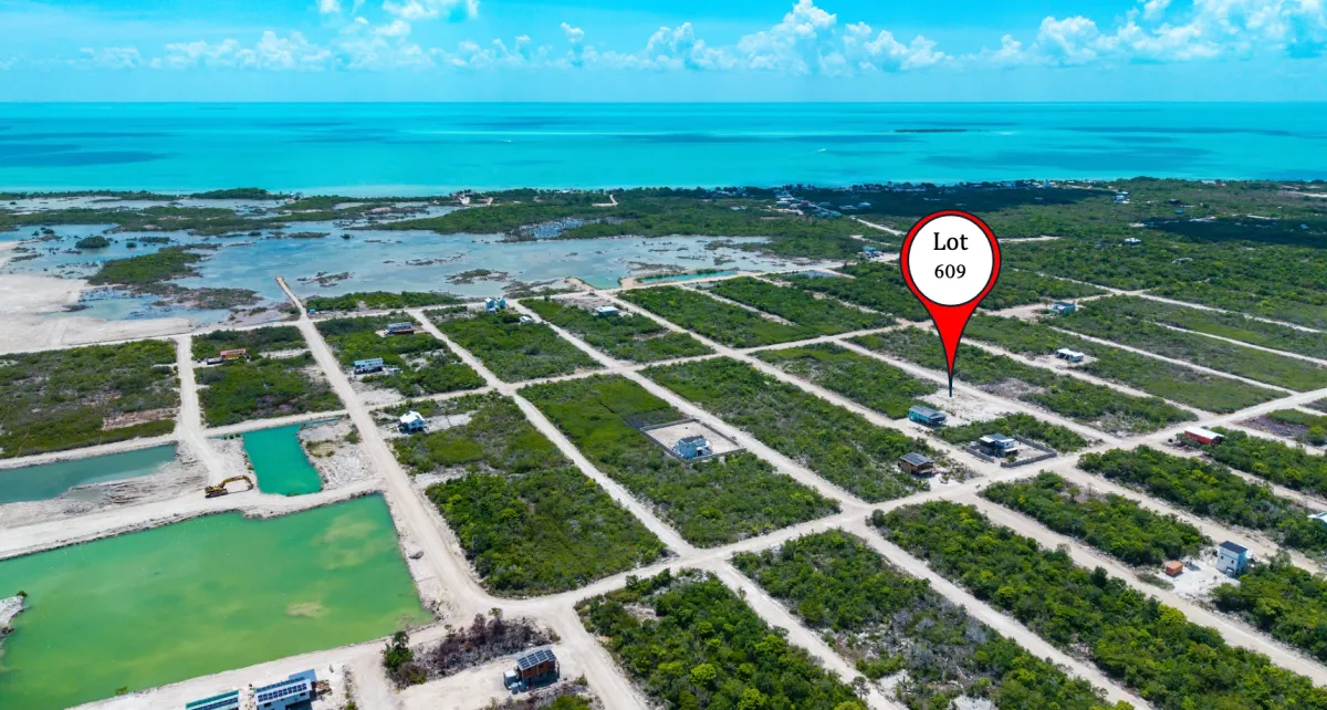 Aerial view of vegetated lots along sandy grid roads near turquoise water