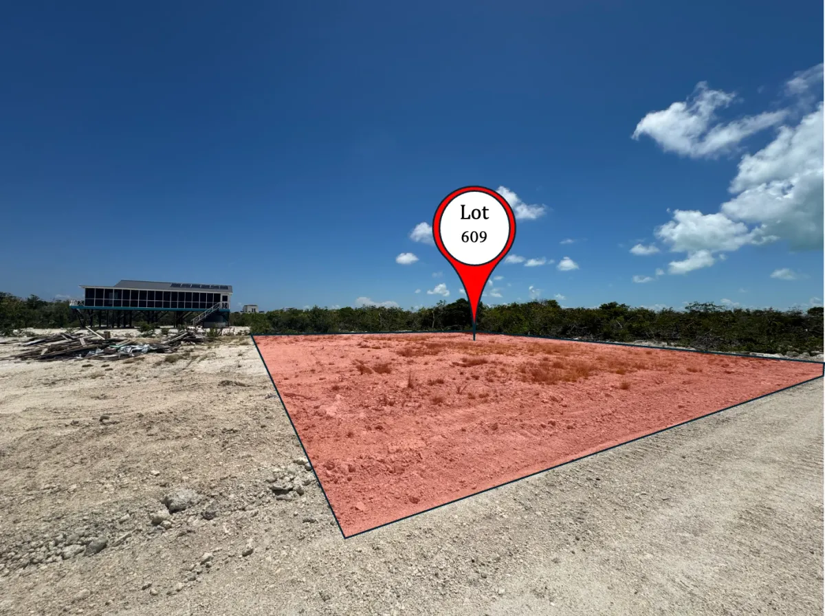 Cleared lot 609 highlighted in red with scrubby trees and a building beyond