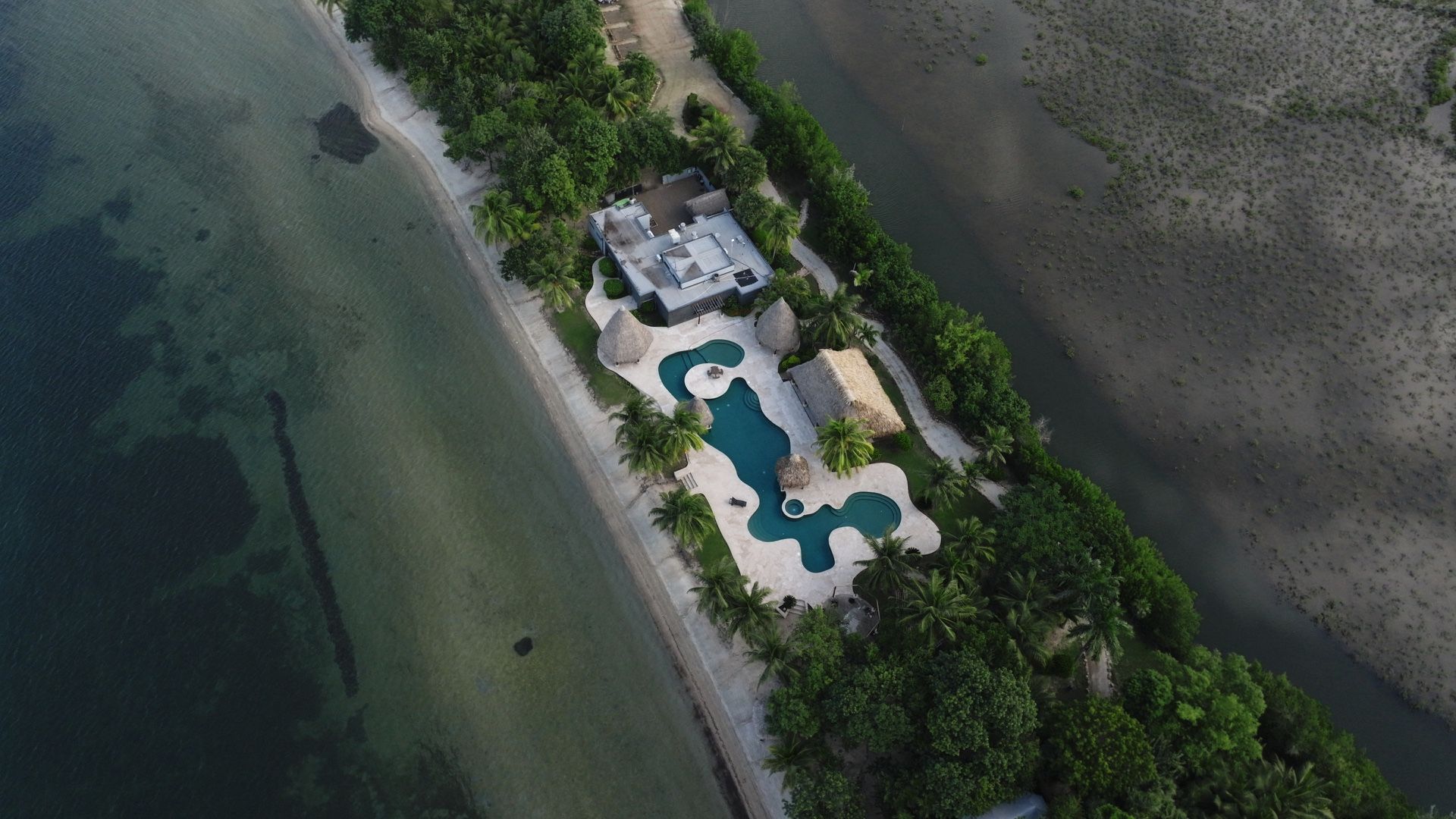 Aerial view of a freeform pool, thatched palapas and a flat-roofed house among palms