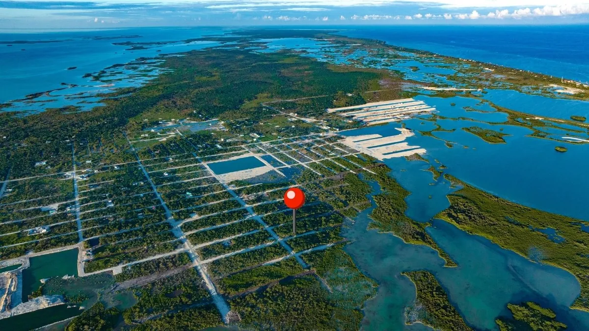 Aerial view of gridded lots among dense green vegetation near water