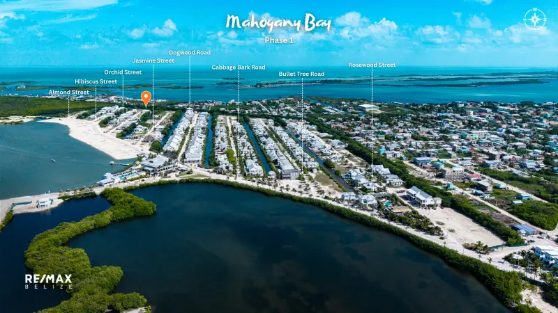 Lot #348 - Image 7