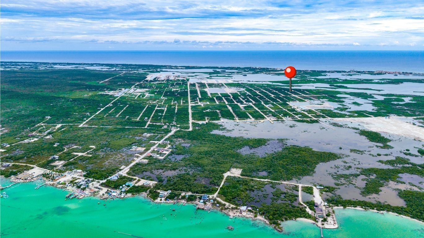 Aerial view of cleared lots and green mangrove land beside turquoise water