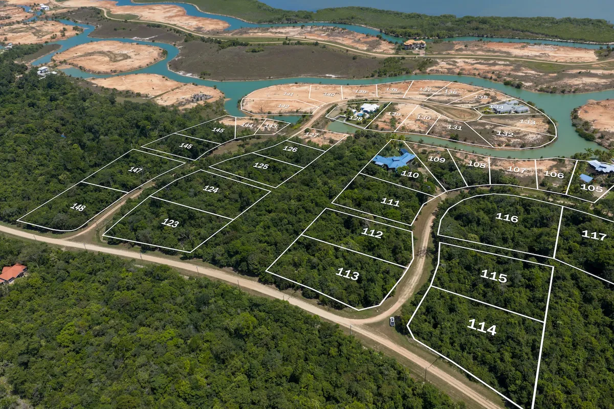 Aerial view of numbered land parcels with white boundary lines and forest cover
