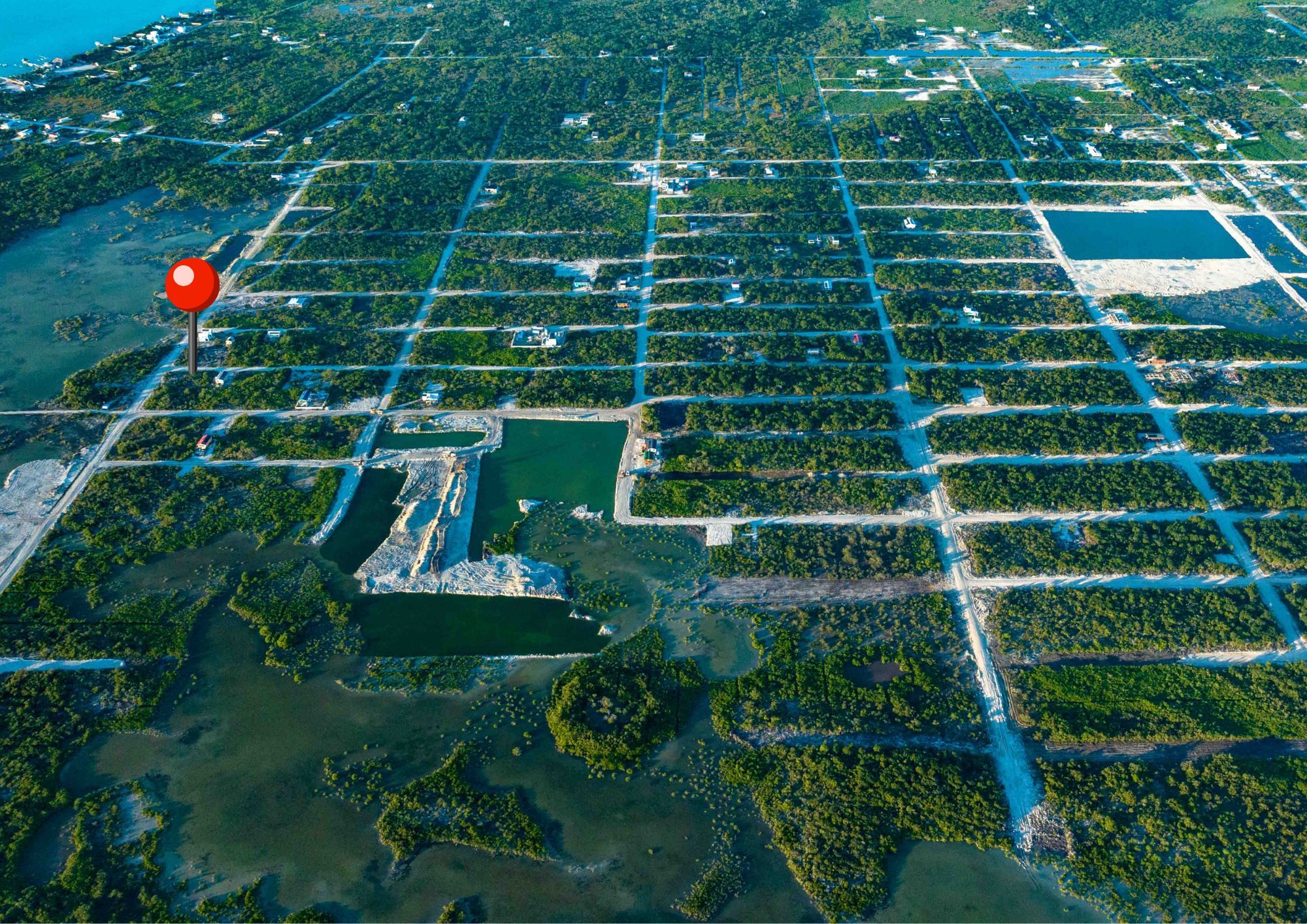 Aerial view of gridded lots with scattered houses beside green water and mangroves