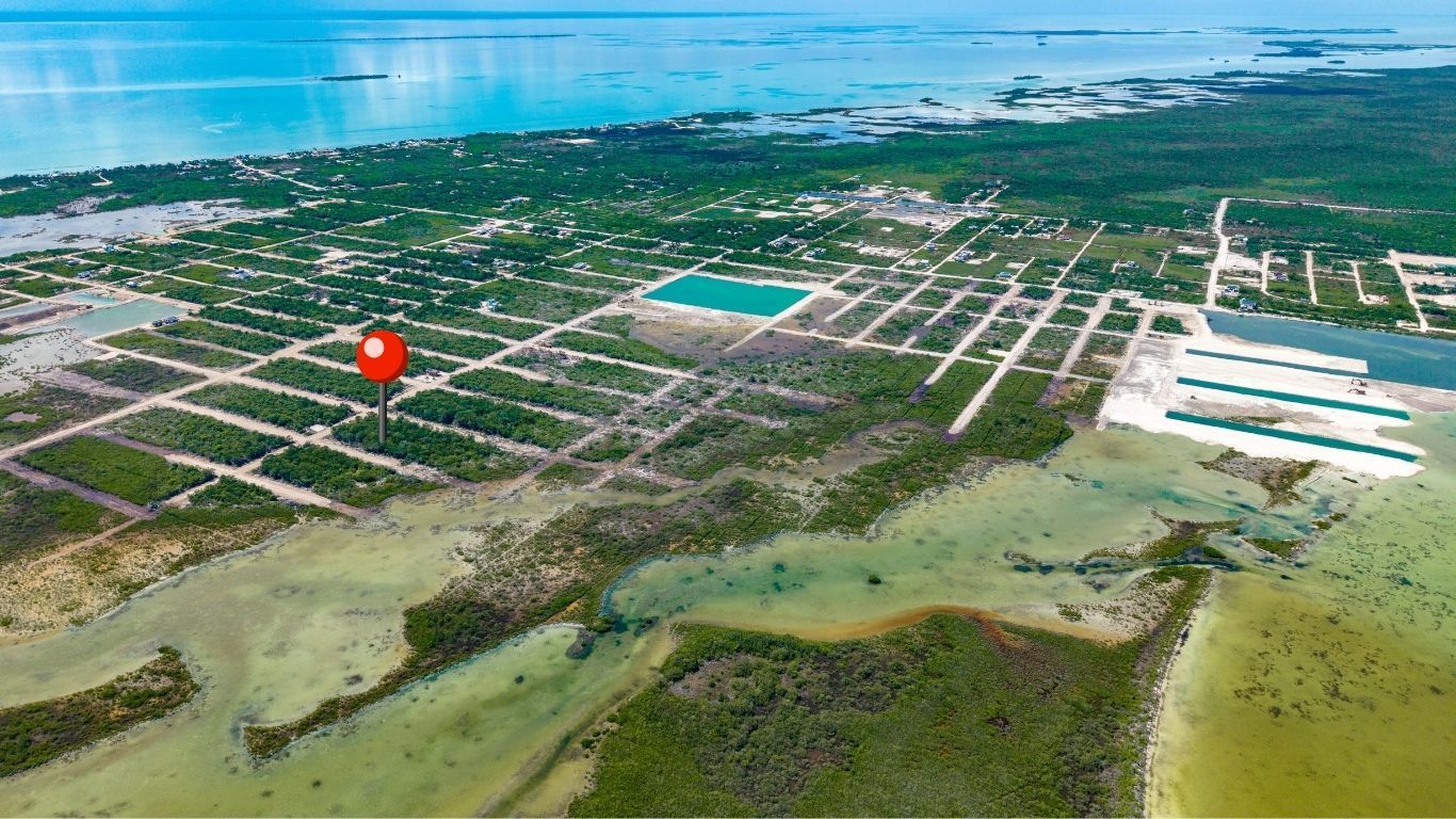 Aerial view of a subdivided lot grid beside turquoise water and mangrove scrub