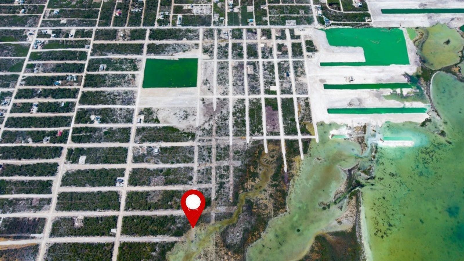 Aerial view of a gridded subdivision of vacant lots beside green-tinted water