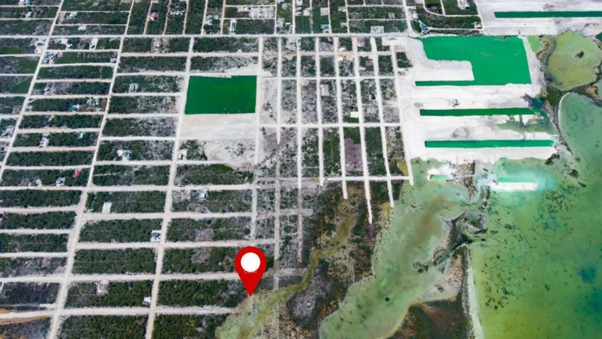 Aerial view of a gridded subdivision of vacant lots beside green-tinted water