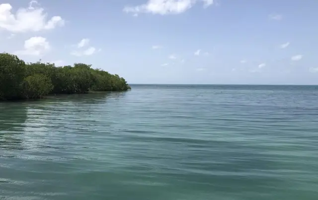 38 Acre Caye near Placencia