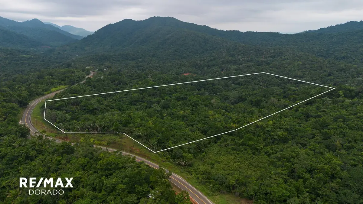 50 Acre Tropical Paradise Near Angel Falls, Hummingbird Highway,